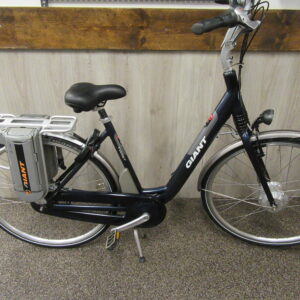 giant twist double ebike